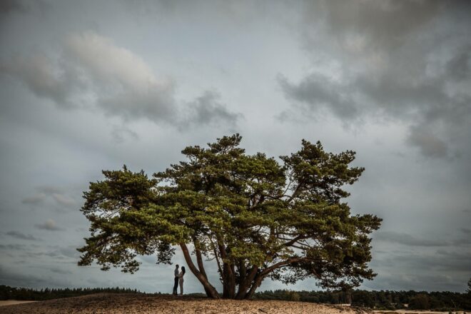 Loveshoot | Huwelijksaanzoek fotograferen