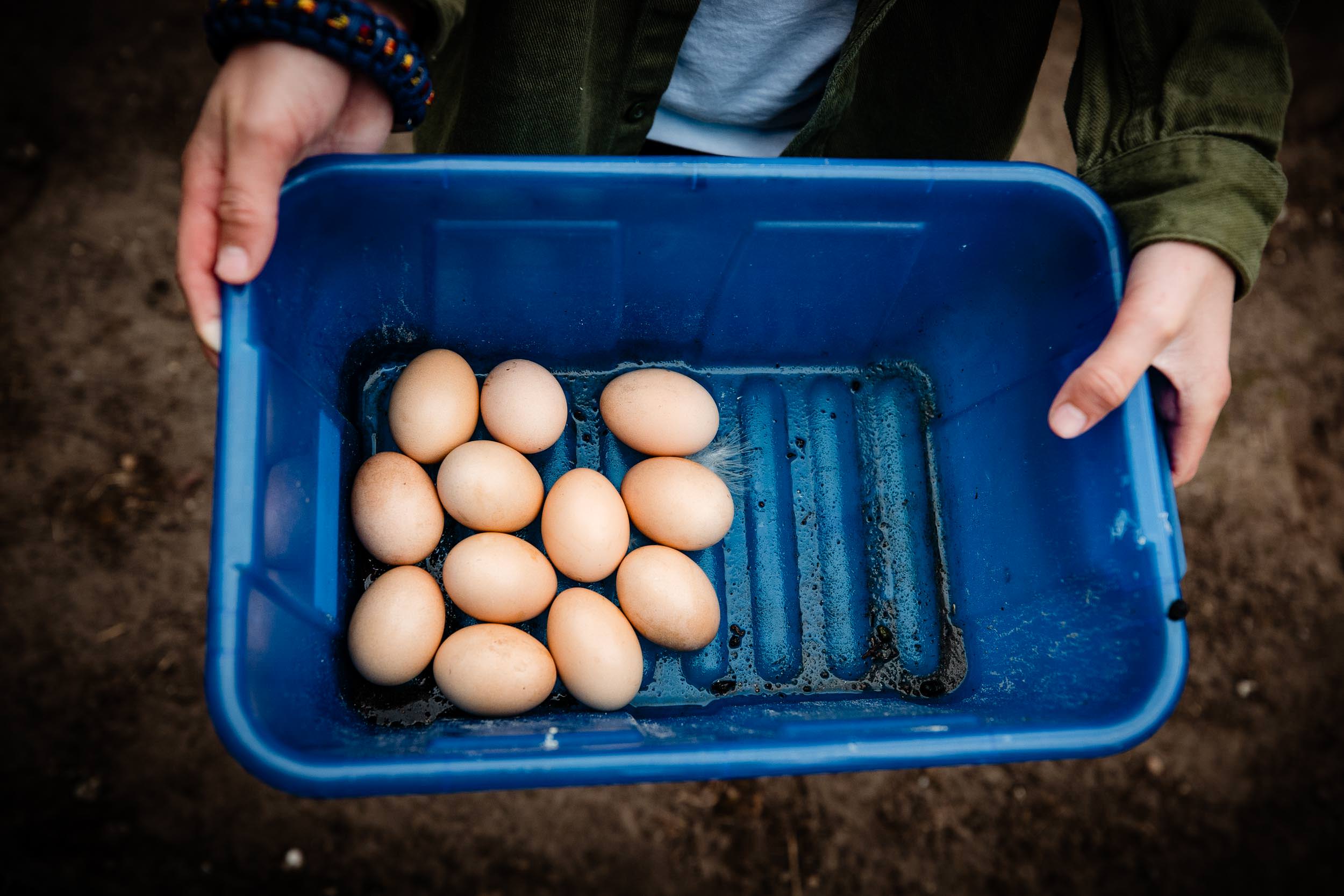 Day in the Life Fotoshoot Woudenberg